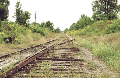 GTW track near Stockbridge